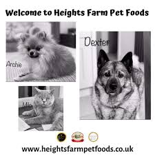 Introducing Dexter Archie And Milo A Very Handsome Trio Who Are All Enjoying Their Food From Heights Farm Dexter Food Animals Norwegian Elkhound Cat Food
