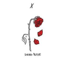 Dead Rose By Montana X Art prints are available from $40 usd. dead rose by montana x