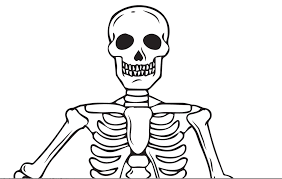 Printable Skeleton Coloring Page For Kids Halloween Coloring Pages Halloween Coloring Coloring Pages