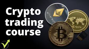 The cryptocurrency trading course for beginners is what you need to navigate the complexity of the crypto market. 12 Crypto Traders Pro Course Reviews Crypto Course
