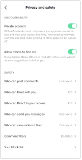 Public Presence Youth Portal Tiktok