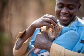 World Health Day • APOPO