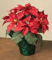 15 Potted Red Poinsettia Plant With 7 Flowers Visit The Image Link More Details Poinsettia Plant Artificial Flowers Christmas Flowers