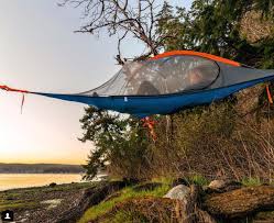 Tentsile is the market leader for tree tent camping since 2013. Gear Review Tentsile Tree Tent Dave Cornthwaite