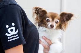 Animal house pet store st petersburg fl. Communities With Retail Pet Sale Bans Best Friends Animal Society