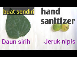 Check spelling or type a new query. Cara Membuat Hand Sanitizer Alami Dari Daun Sirih Dan Jeruk Nipis Youtube