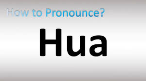 Image result for Hua
