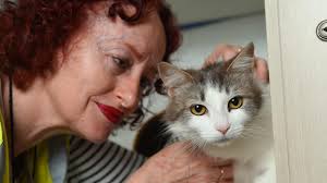 Lost Dogs Home: Leader goes behind the scenes