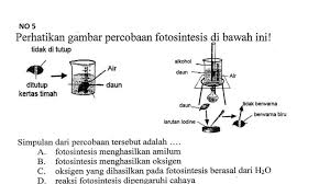 Kisi Kisi Ujian Nasional Ppt Download