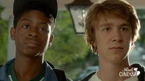 Yo él y Raquel (Alfonso Gomez-Rejon, 2015)