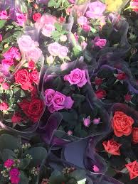 ورد طبيعي الشكل روعه كل سندان مشتل الجنائن المعلقه facebook