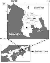 Inland sea, the body of water lying between the japanese islands of honshu, shikoku, and kyushu. Seasonal Variations In Phytoplankton Productivity In A Shallow Cove In The Eastern Seto Inland Sea Japan Springerlink