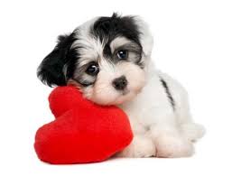 See full list on indifferentlanguages.com The Language Of Love 20 Cute French Words That Will Melt Your Heart