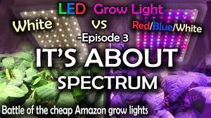 We did not find results for: White Led Vs Red Blue White Led Grow Test W Time Lapse Lettuce Ep 1 Youtube