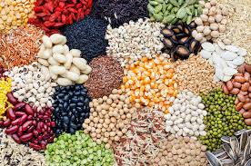 Kacang hijau terkenal dengan kandugan nutrisi nabati yang kaya akan protein. Ini 7 Jenis Kacang Bergizi Tinggi Dan Mudah Ditemukan Di Indonesia Bukareview
