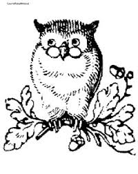 My adult coloring pages include flowers, animals and geometrics. Free Printable Coloring Pages For Adults Adultcoloringpage Net