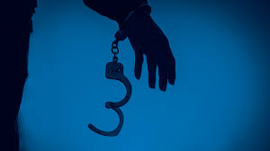 If the alleged violation is not for a new crime, then the board may reinstate parole, instead. A Guidebook To Parole In Alabama Southern Poverty Law Center
