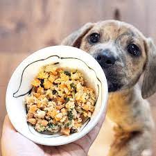 Fresh Dog Food Recipes Formulated By A Veterinary Nutritionist To Provide Your Dog With Healthy And Delicious Dog Food Recipes Homemade Dog Food Cook Dog Food