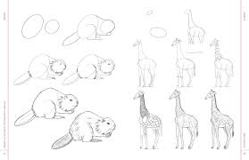 Drawing with pencils is one of them. Amazon Com Draw Like An Artist 100 Realistic Animals Step By Step Realistic Line Drawing A Sourcebook For Aspiring Artists And Designers 9781631598197 Melissa Washburn Books