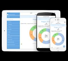 Gestione delle spese con l'app mobile banking. Le Migliori App Per Gestire Il Bilancio Familiare