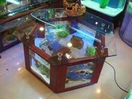 You can explore and make interesting diy fish tank coffee table designs made from wood and glass and decorate them with a terrarium, lights, colorful stones, pebbles and more to add to its exclusivity! Octagon Coffee Table Aquarium Coffee Table Design Ideas Aquarium Coffee Table Fish Tank Coffee Table Diy Aquarium