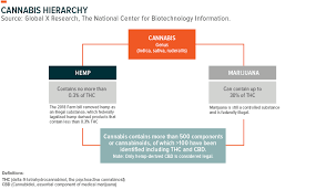 Key Companies In The Cannabis Industry Global X Etfs