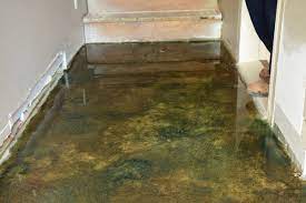 Visual art can be classified in diverse ways, such as separating fine arts from applied arts; Victoria Custom Concrete Specialists Victoria Concrete Surfaces