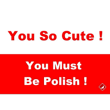 Polish And Proud Polish Memes Polish Traditions Poland Facts