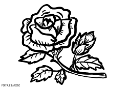 La talpa (tinker tailor soldier spy) è un film del 2011 diretto da tomas alfredson.pellicola di spionaggio con sceneggiatura scritta da bridget o'connor e peter straughan, basata sull'omonimo romanzo del 1974 di john le carré. Disegni Di Rose Da Stampare E Colorare Gratis Portale Bambini Rosas Rose Roses Coloring Coloringpages Coloringi Disegni Di Rose Disegni Disegno Fiori