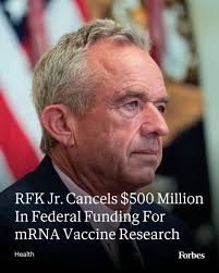 Health and Human Services Secretary Robert F. Kennedy Jr. announced he is  cancelling contracts and grants worth nearly $500 million earmarked to  develop mRNA vaccines. (Photo: Anna Moneymaker via Getty Images)  https://trib.al/0QDJ9md