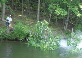 Lancaster County Bassmasters Improving Fish Habitat In Muddy