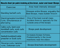 biceps workout routine