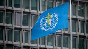 The disease starts suddenly with a high fever, severe headache and malaise. Guinee Premier Cas Du Virulent Virus De Marburg Le Premier En Afrique De L Ouest