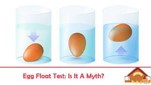 Egg Float Test Is It A Myth The Happy Chicken Coop