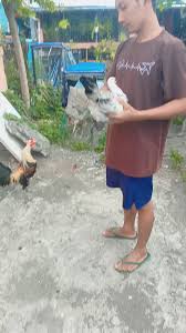 Kanawayon x Popeye grey