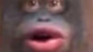 Uh Oh Stinky Drawing Uh Oh Stinky Minions Funny Images Meme Faces Cute Memes