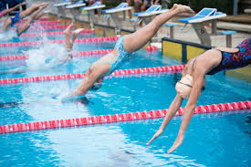 Blue, yellow, black, green, and red. Aquatics Diving Olympics Tickets Reisen Buchen Sie Bei P1 Travel