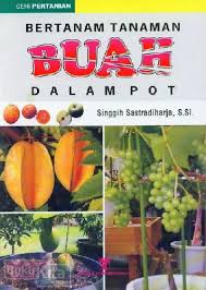 Mulailah dengan langkah 1 di bawah ini untuk mendapatkan informasi lebih. Buku Bertanam Tanaman Buah Dalam Pot Toko Buku Online Bukukita