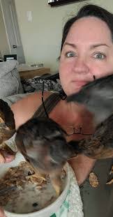 Jodi Yager's Instagram, Twitter & Facebook