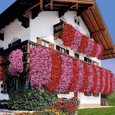 45 Creative Flower Garden Balcony Ideas In 2020 Flower Garden Balcony Flowers Window Box Flowers