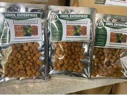 Image result for Ricinodendron