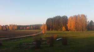 Online service planet of hotels offers to book hotels in hagfors. A Hotel Com Stuga Hult Holiday Home Hagfors Sweden Price Reviews Booking Contact