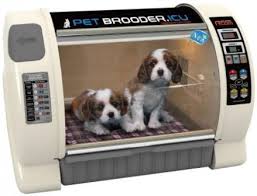 Curadle brooder nebulizer / oxygen tank connection. Curadle Pet Brooder Icu Max Small At The Incubator Shop