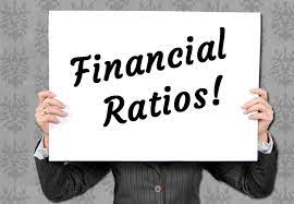 The Top 10 Financial Ratios You Should Care About | TradingSim