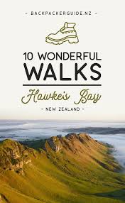 10 Wonderful Walks In Hawke S Bay Nz Pocket Guide 1 New Zealand Travel Guide New Zealand Travel Guide Hawke S Bay New Zealand Travel