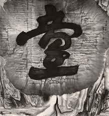 Bildergebnis für Li Ran