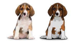 Photoshop Tutorial Cartoon Effect On Pet Portrait Filter Effect On Dog Portrait Yo Photoshop Tutorial Art Portrait Photoshop Photoshop Tutorial Drawing