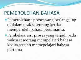 Check spelling or type a new query. Psikolinguistik Bahasa Dan Berbahasa Ppt Download