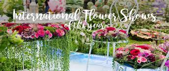 Image result for The best Flower in the world