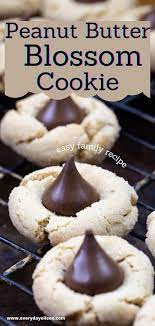 Peanut Butter Blossom Cookies Cookies Recipes Christmas Delicious Cookie Recipes Best Cookie Recipes